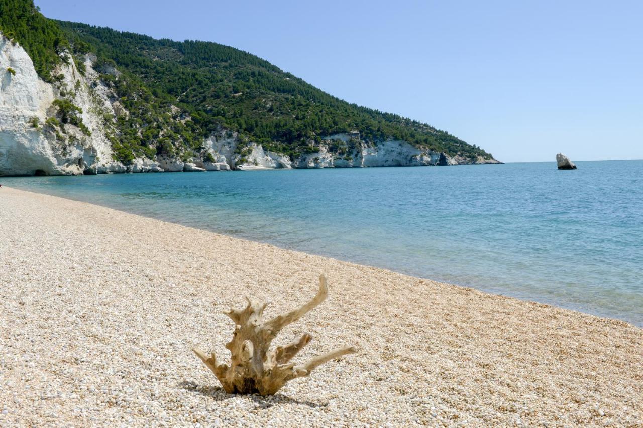Dimora Storica Fronte Mare Con Terrazzo Privato Vila Torre Canne Exterior foto